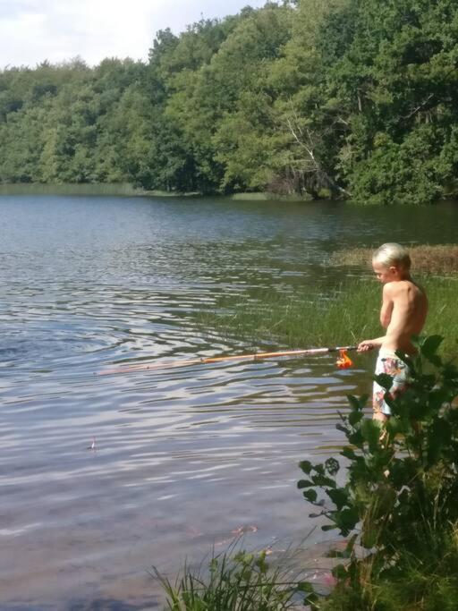 Stuga I Naturskoena Mittskane Höör Eksteriør billede